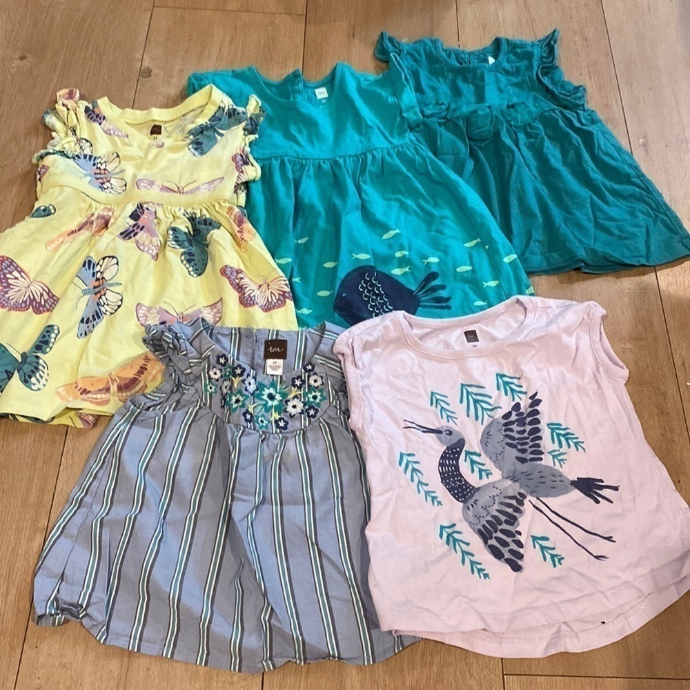 TEA collection girls bundle 3 dresses 2 tops 2T